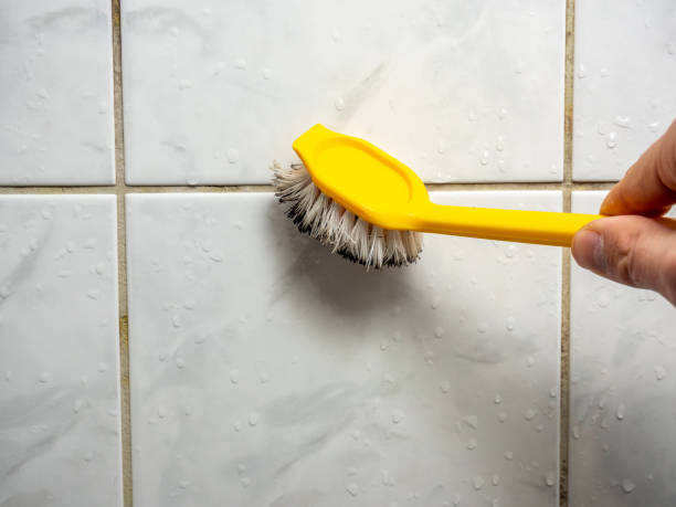 Best Mold Testing  in Salineville, OH