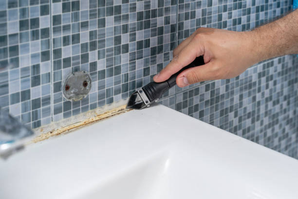 Best Fast Mold Removal  in Salineville, OH